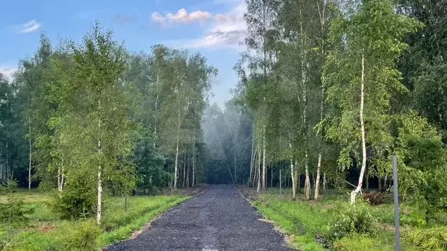 Участок 6,4 сот. (ИЖС) - Фото 0