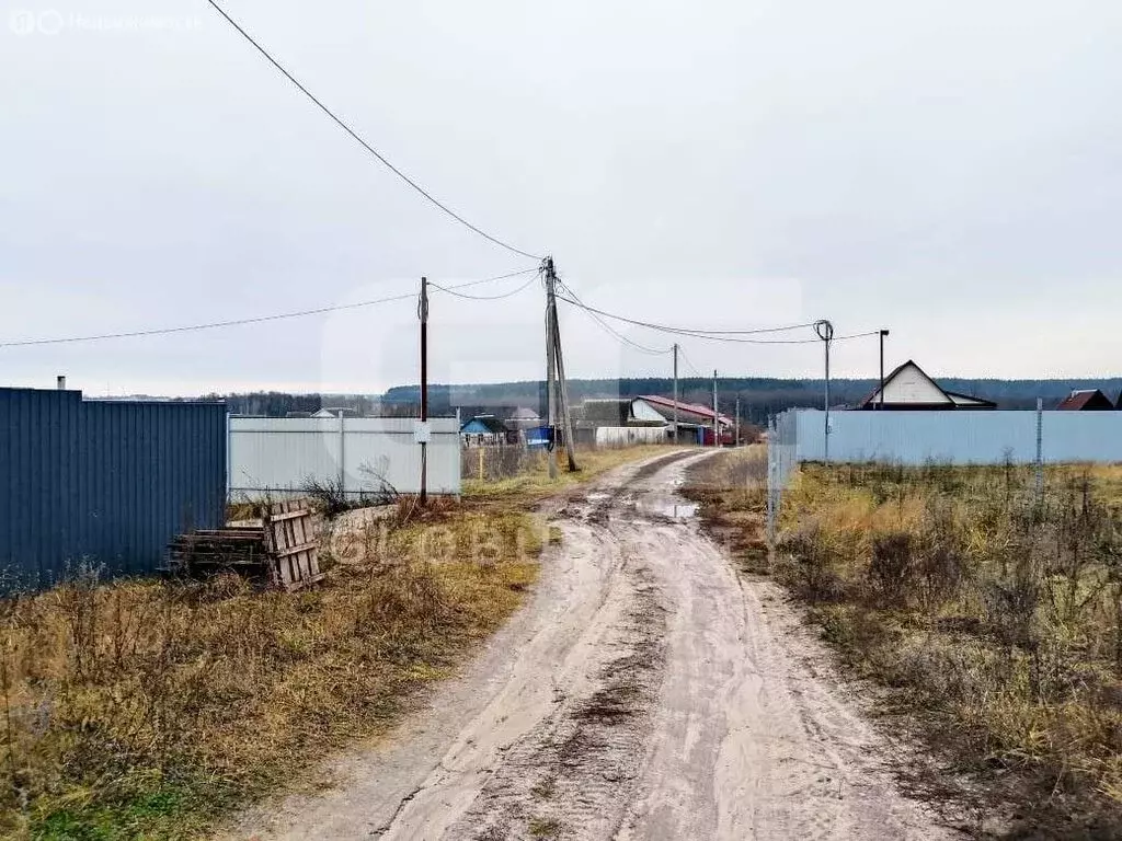 Участок в Дарковичи, Весенняя улица, 2 (13 м) - Фото 2