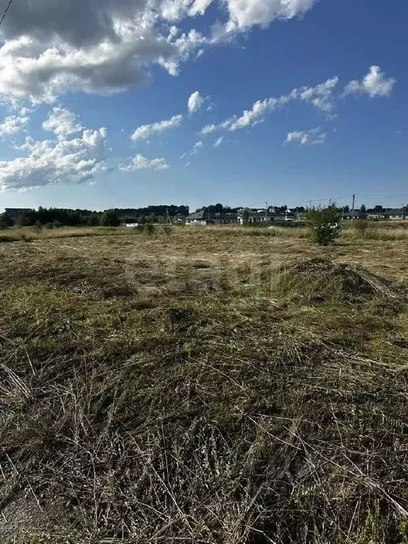 Участок в Калининградская область, Зеленоградский муниципальный округ, ... - Фото 1