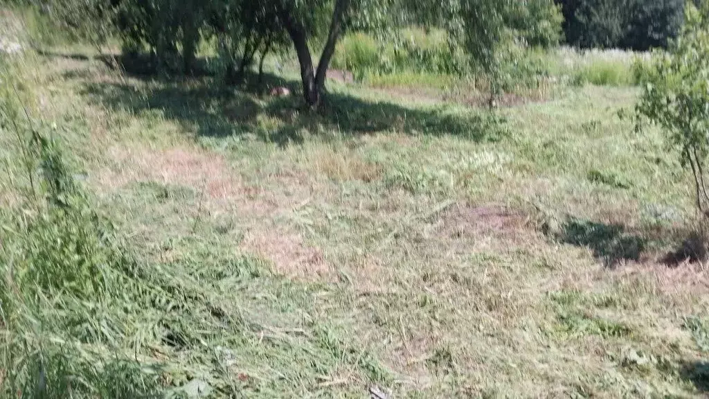 Участок в Брянская область, Брянский район, Снежское с/пос, пос. ... - Фото 2