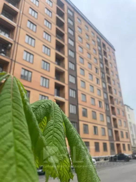 2-к кв. Дагестан, Махачкала ул. Лизы Чайкиной, 69 (80.0 м) - Фото 2