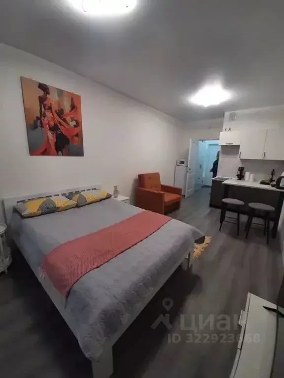 Студия Санкт-Петербург Дальневосточный просп., 23 (24.0 м) - Фото 2