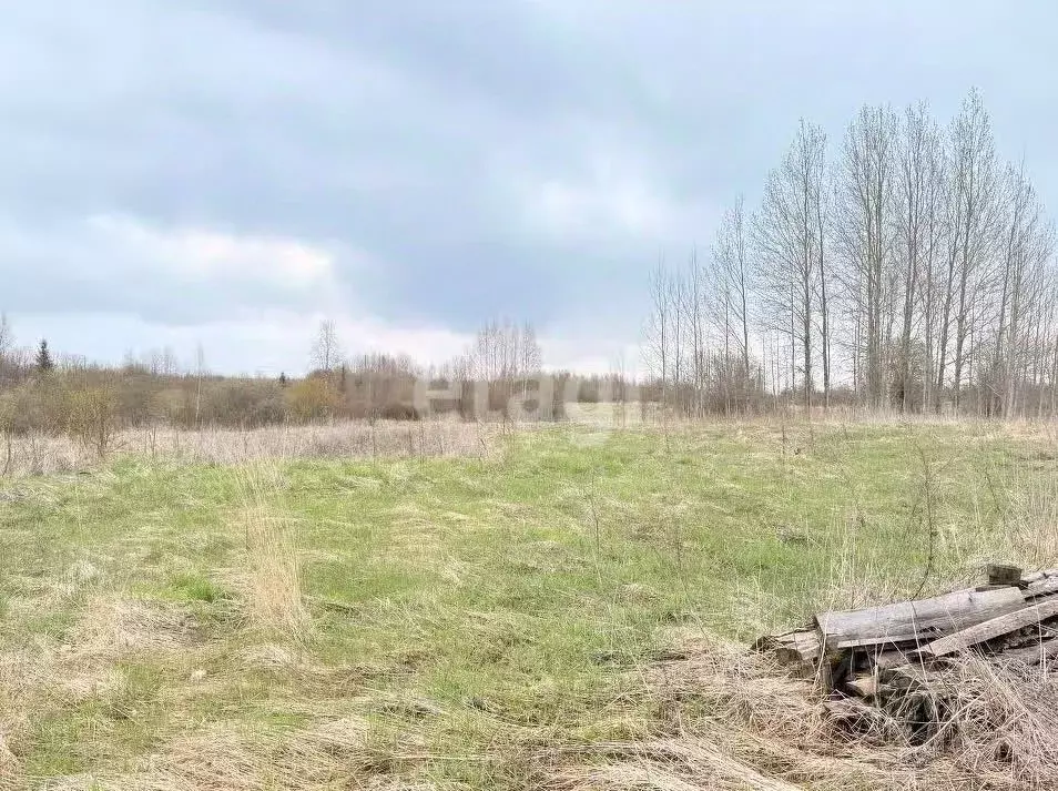 Участок в Вологодская область, Вологда Чистые Пруды садоводческое ... - Фото 2