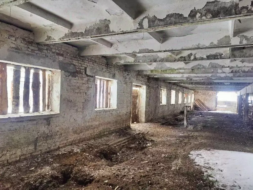Помещение свободного назначения в Башкортостан, Кигинский район, с. ... - Фото 1