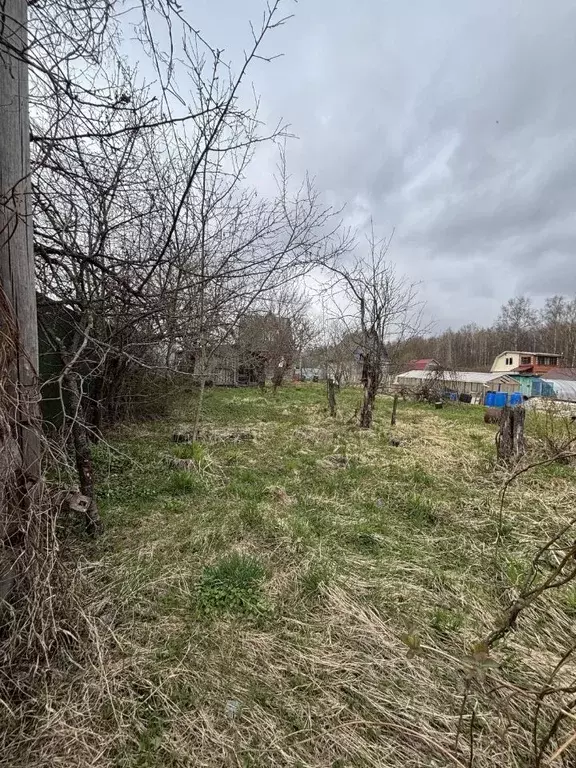 Участок в Калужская область, Боровский муниципальный округ, Березка-2 ... - Фото 1