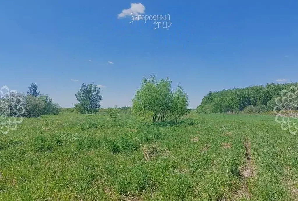 Участок в Московская область, Богородский городской округ, д. Старые ... - Фото 1