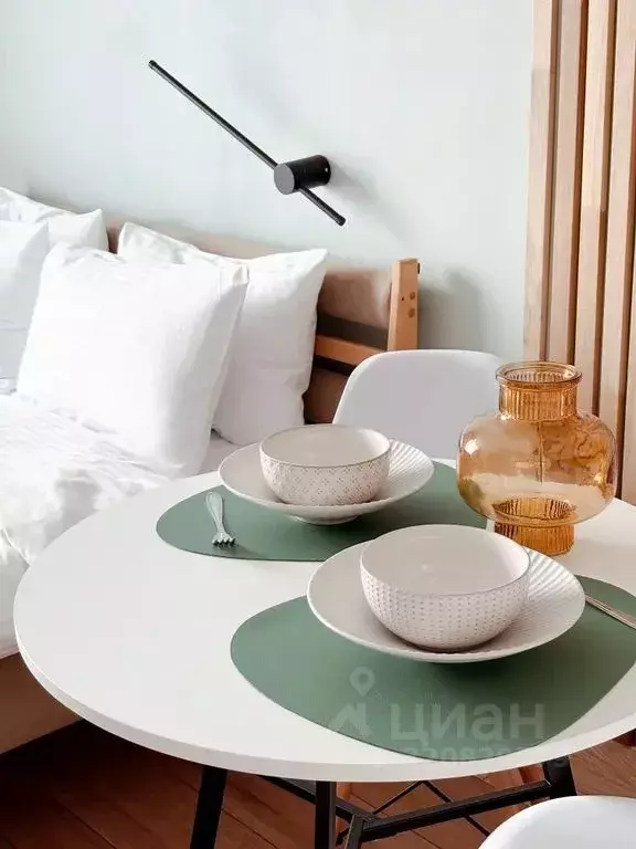 Студия Смоленская область, Смоленск проезд Маршала Конева, 32 (20.0 м) - Фото 2