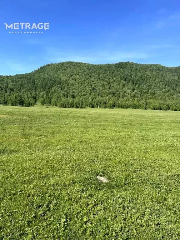 Участок в Алтай, Усть-Коксинский район, с. Катанда  (1500.0 сот.) - Фото 1