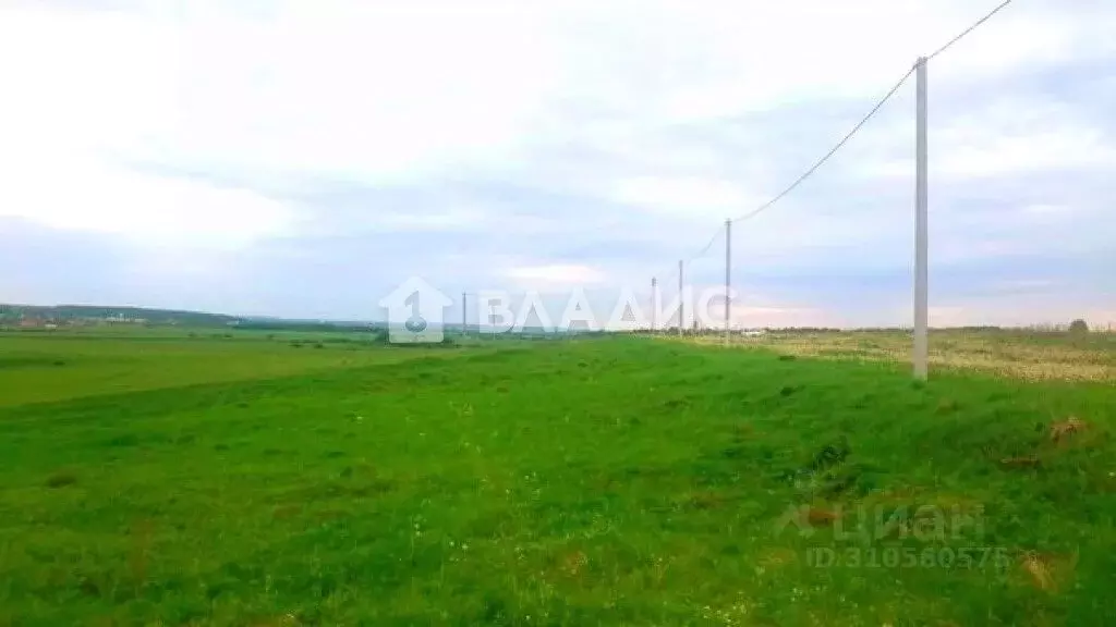 Участок в Владимирская область, Суздальский район, Павловское ... - Фото 0