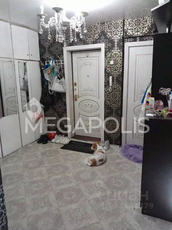 кт краснокаменск. налоговая инспекция г. краснокаменск площадь города. краснокаменск. город краснокаменск читинской области.