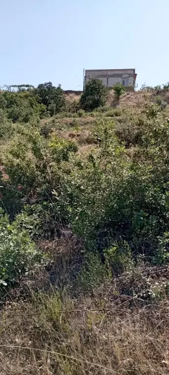 Участок в Крым, Алушта Восход СНТ,  (5.4 сот.) - Фото 1