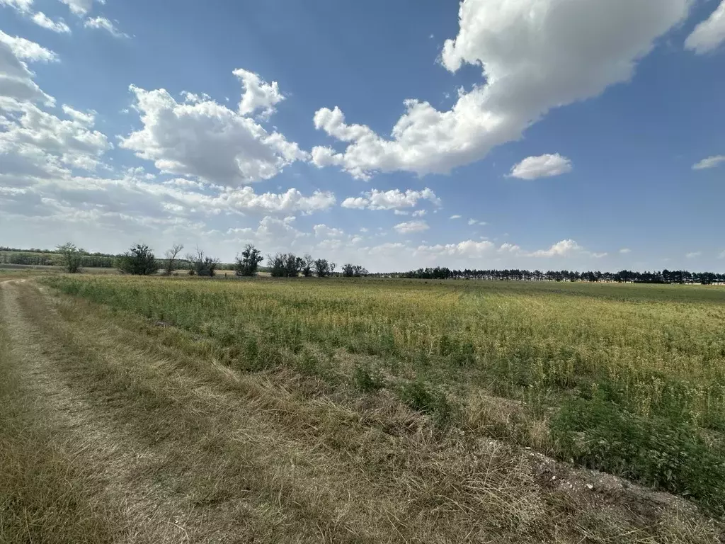 Участок в Крым, Симферопольский район, Донское с/пос  (10.86 сот.) - Фото 1