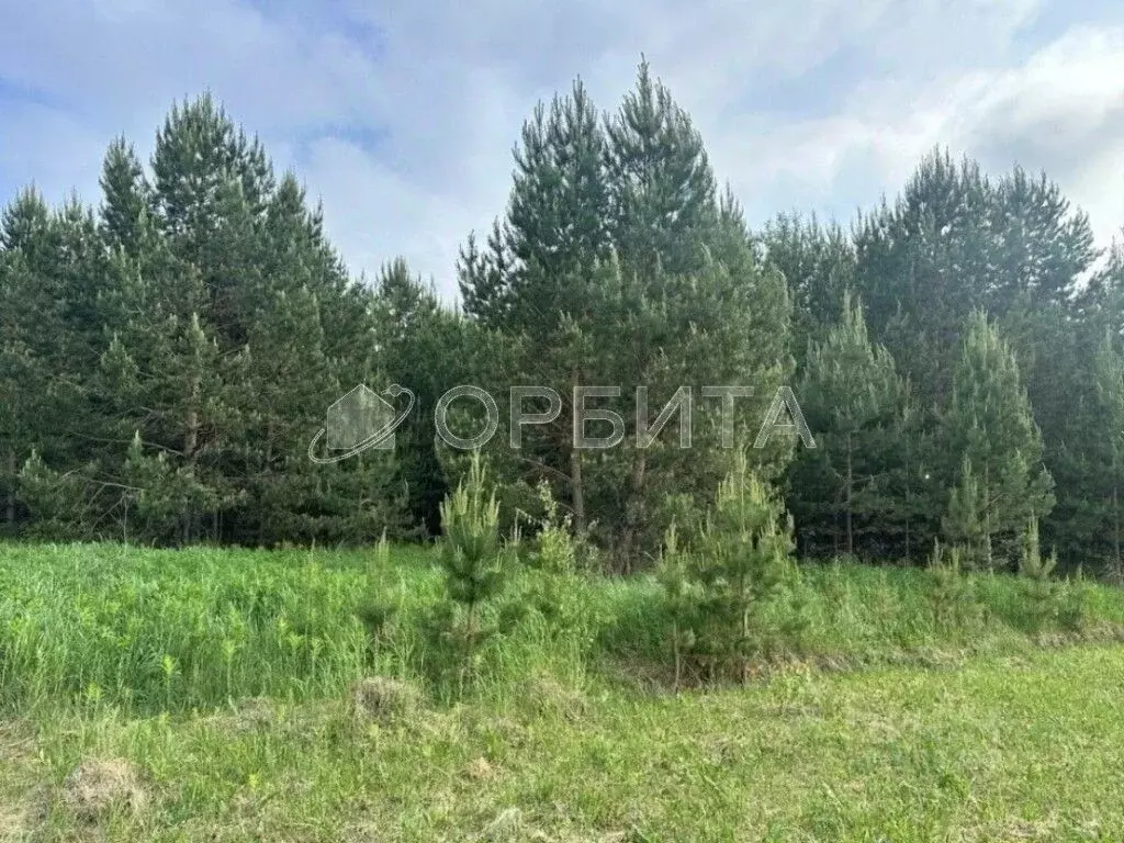 Участок в Тюменская область, Нижнетавдинский муниципальный округ, д. ... - Фото 2
