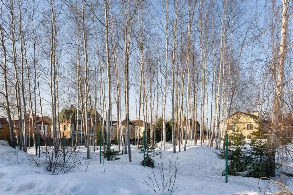 Участок в Московская область, Мытищи городской округ, д. Подольниха ... - Фото 2