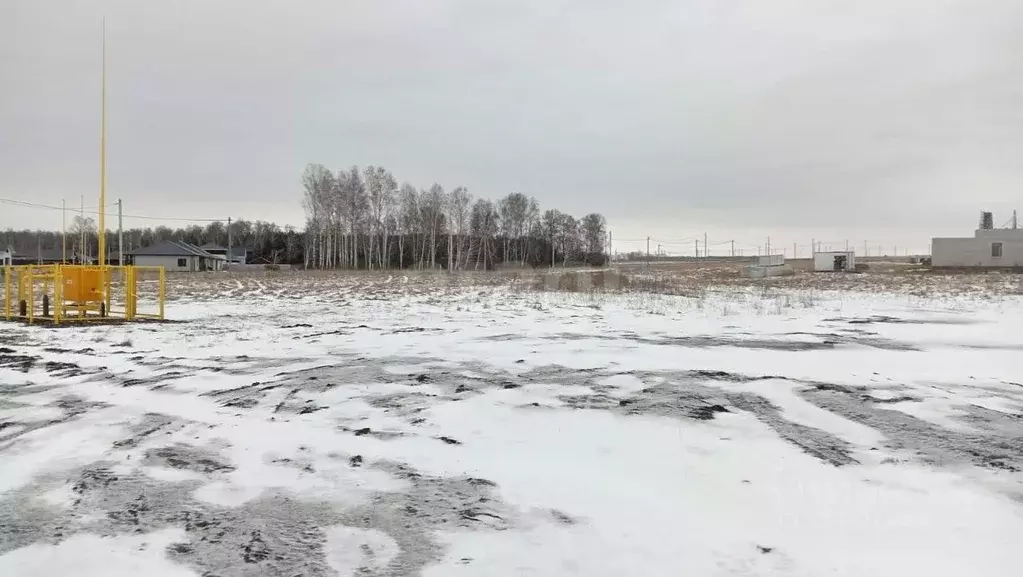 Участок в Алтайский край, Первомайский район, с. Фирсово  (8.0 сот.) - Фото 1
