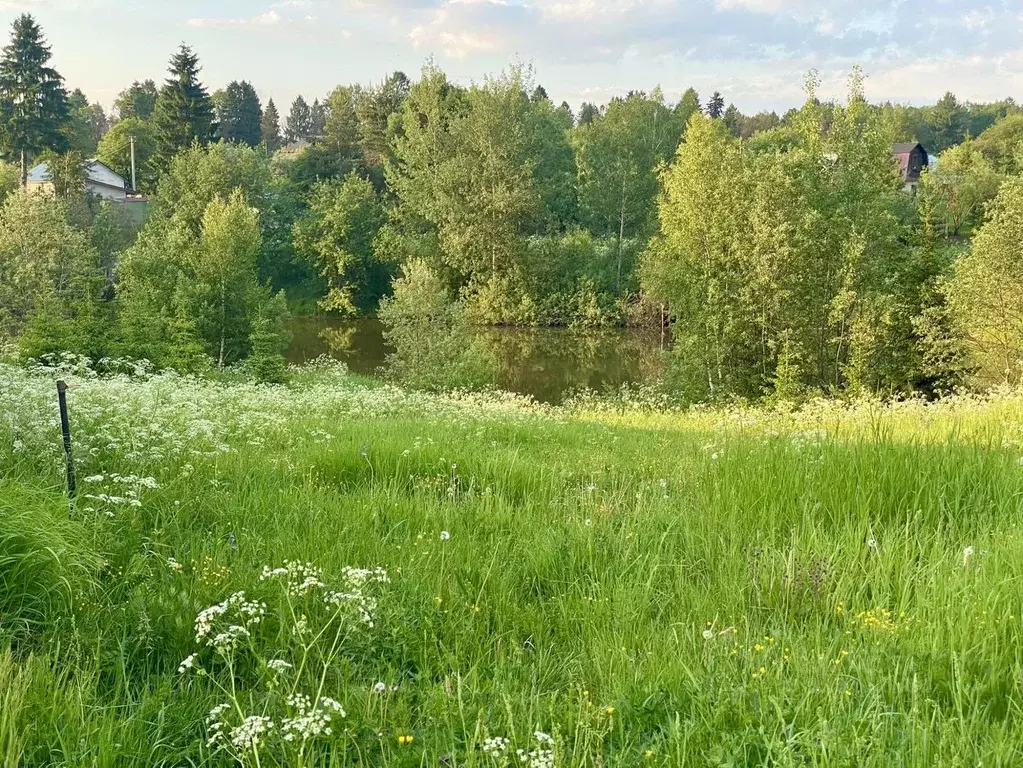 Участок в Владимирская область, Александровский район, Каринское ... - Фото 0