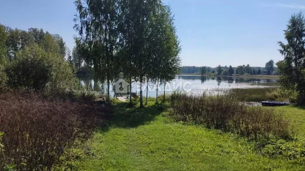 Участок в Новгородская область, Демянский муниципальный округ, д. ... - Фото 1
