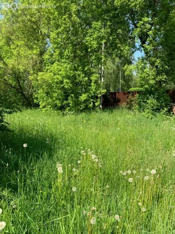 Дом в село Бибирево, Центральная улица, 24 (49 м) - Фото 1
