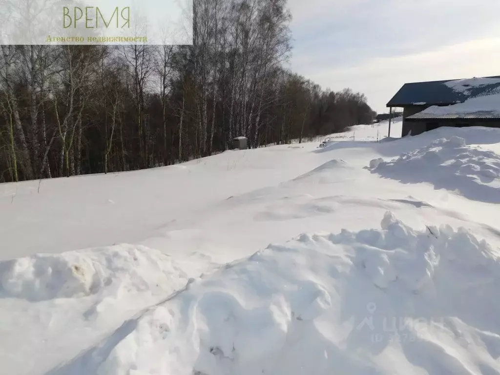 Участок в Новосибирская область, Новосибирский район, Каменский ... - Фото 2