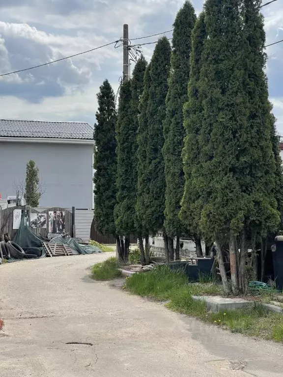 Участок в Московская область, Богородский городской округ, д. Ельня ... - Фото 0