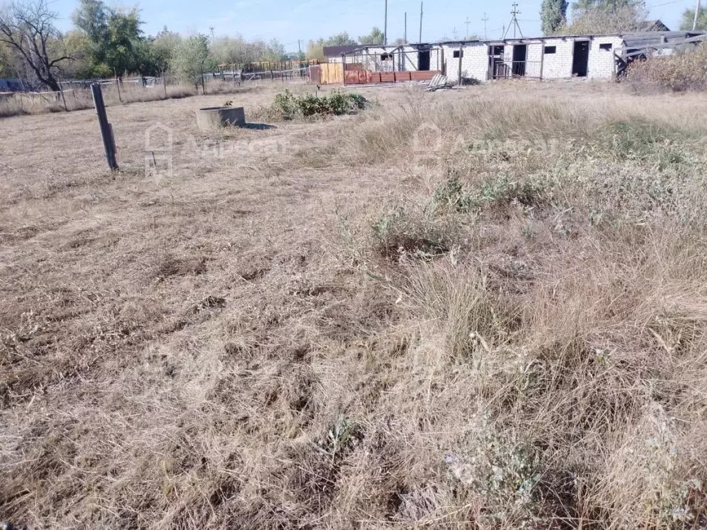 Участок в Волгоградская область, Иловля рп ул. Бетонная (10.0 сот.) - Фото 1