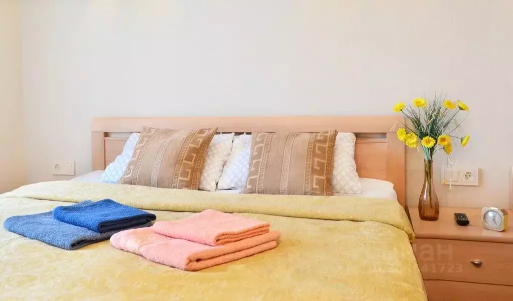 2-к кв. Свердловская область, Екатеринбург ул. Татищева, 53 (48.0 м) - Фото 1