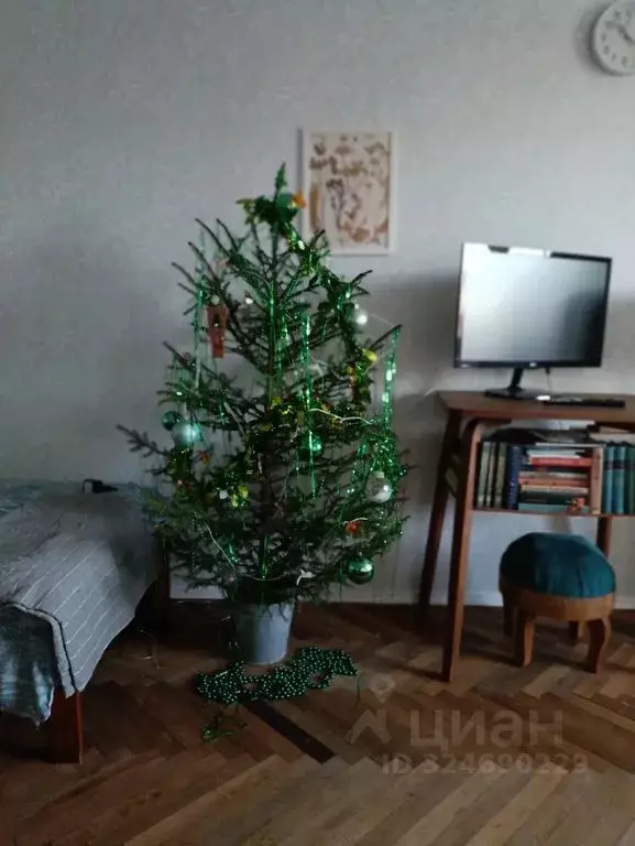 1-к кв. Санкт-Петербург, Санкт-Петербург, Петергоф Чебышевская ул., ... - Фото 2