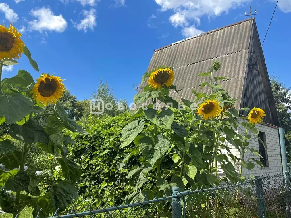 Участок в Рязанская область, Рязанский район, Искровское с/пос, ... - Фото 1