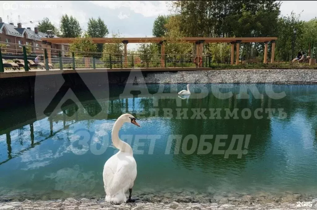 Участок в Тюменская область, Вагайский муниципальный округ, Шестовское ... - Фото 1