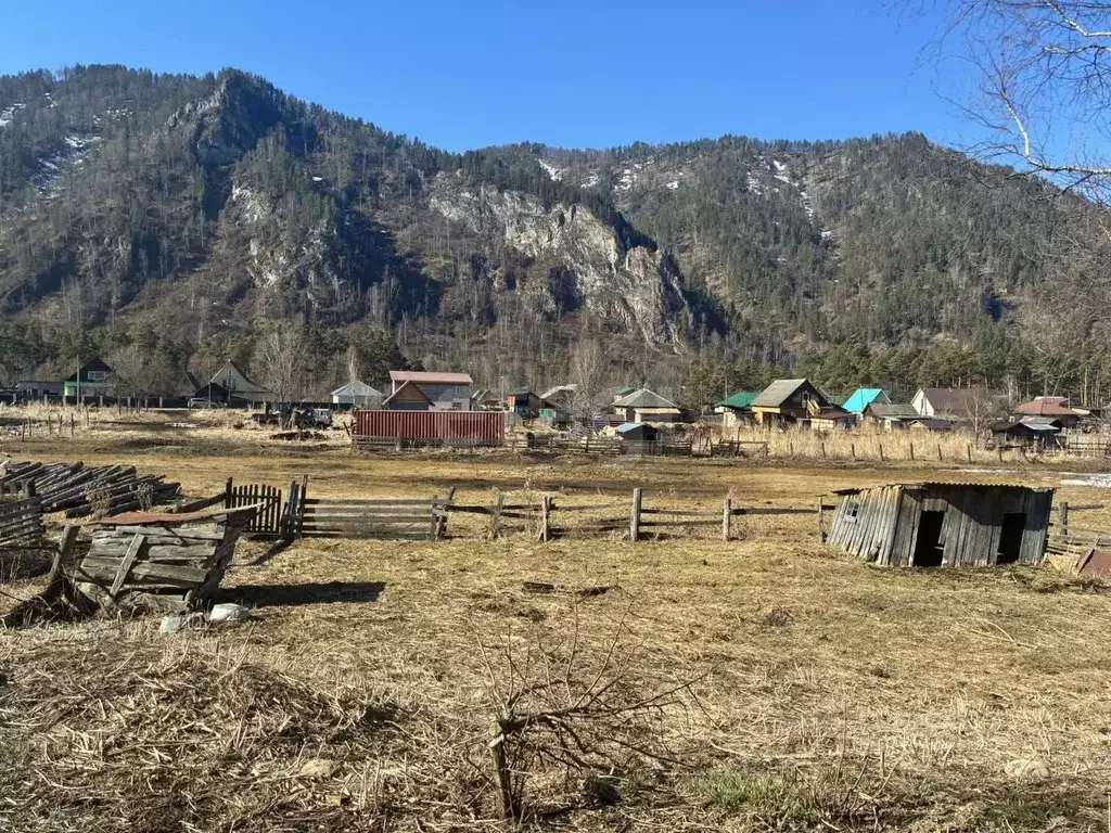 Участок в Алтай, Чемальский район, с. Чепош ул. Кучияк (9.0 сот.) - Фото 1