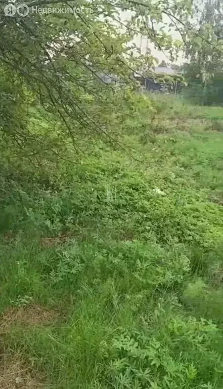 Участок в Ленинградская область, Сосновый Бор (7.5 м) - Фото 2