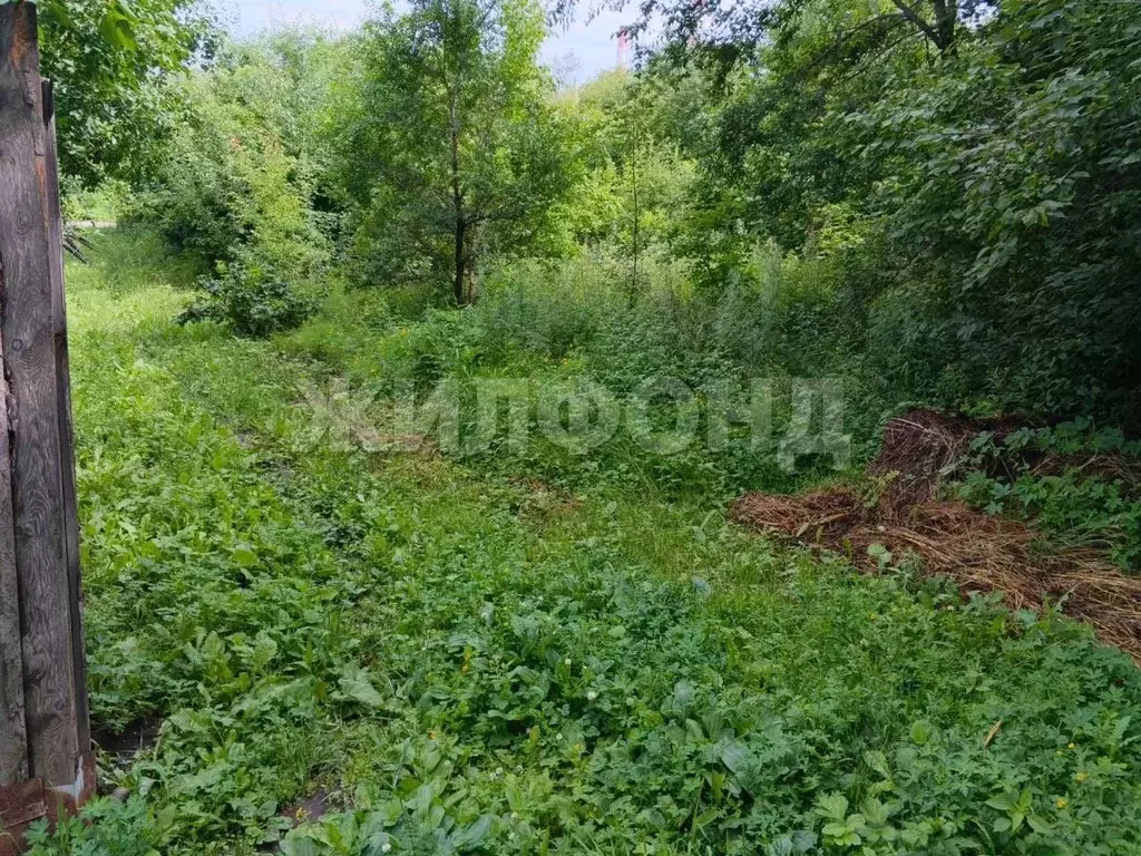 Участок в Амурская область, Благовещенск Нагорная ул. (7.0 сот.) - Фото 2