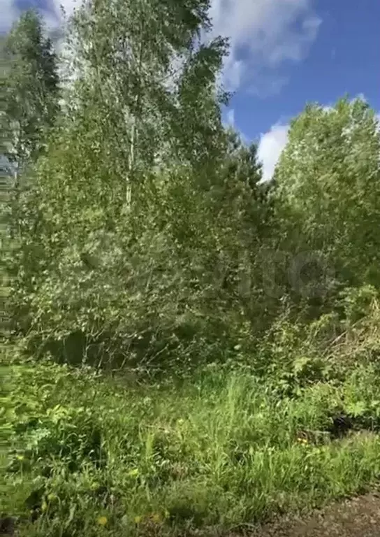 Участок 10 сот. (СНТ, ДНП) - Фото 0