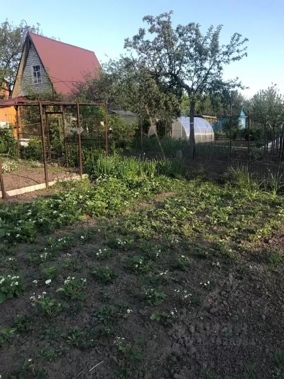 Дом в Курская область, Железногорск Городские сады СНТ, ул. 4-я (12 м) - Фото 1