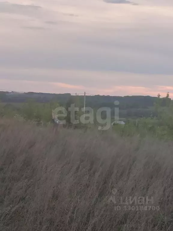 Участок в Башкортостан, Чишминский район, Лесной сельсовет, с. ... - Фото 2