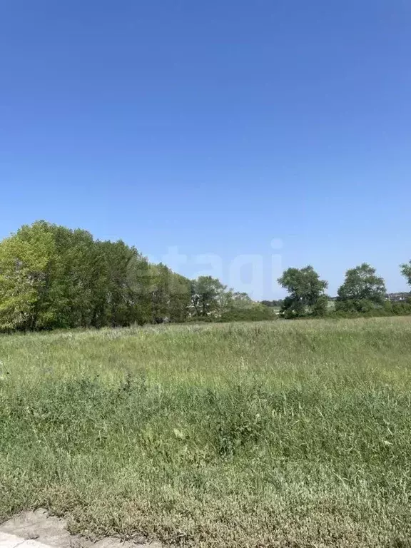 Участок в Белгородская область, Белгородский район, Дубовское с/пос, ... - Фото 1