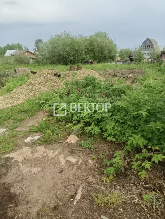 Участок в Костромская область, Кострома Майский СНТ,  (6.0 сот.) - Фото 1