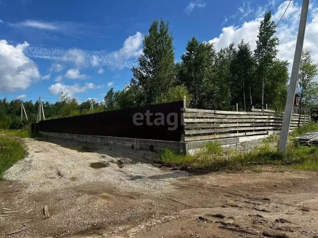 Участок в Амурская область, Благовещенский район, с. Чигири ул. ... - Фото 1