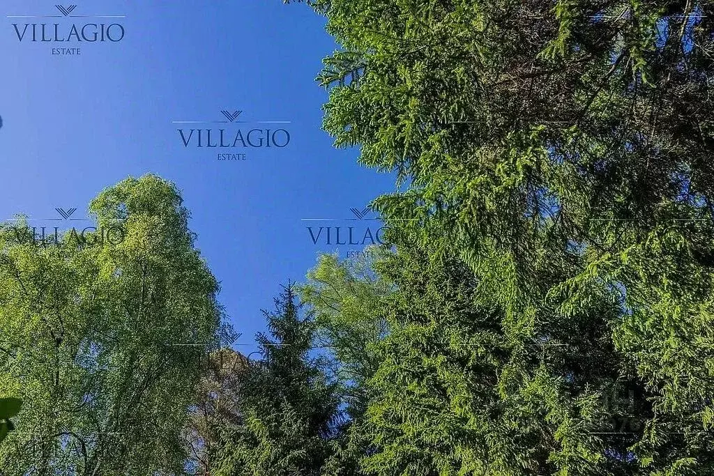 Участок в Московская область, Одинцовский городской округ, пос. ... - Фото 1