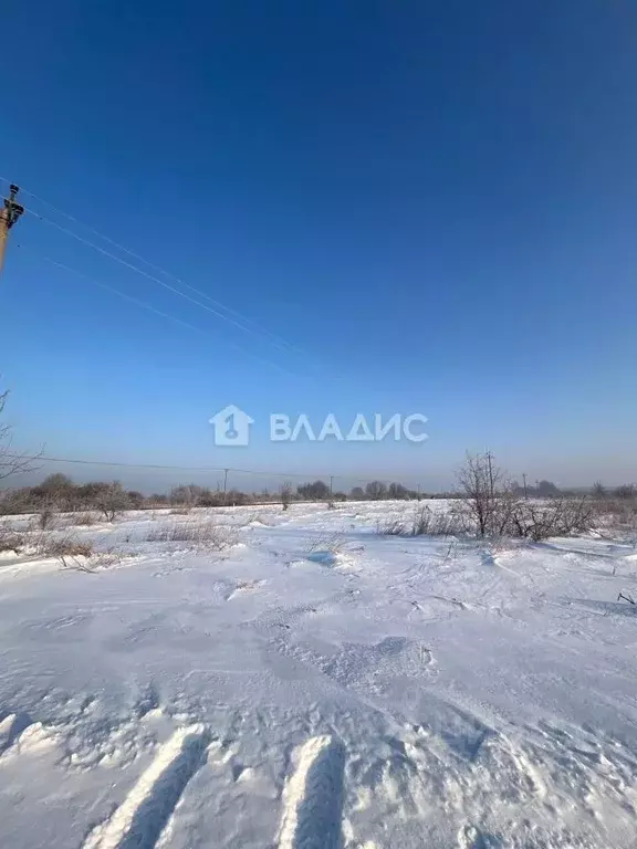 Участок в Калининградская область, Зеленоградск ул. Калининградская ... - Фото 2