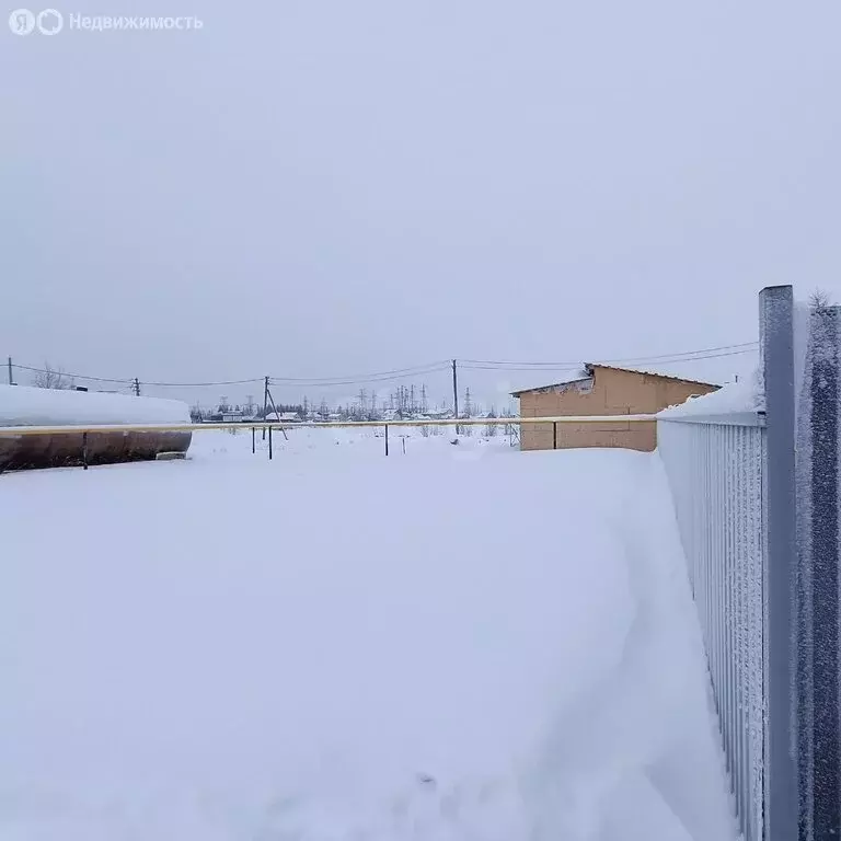 Участок в Новый Уренгой, ДНТ Северный Берег (4.98 м) - Фото 1