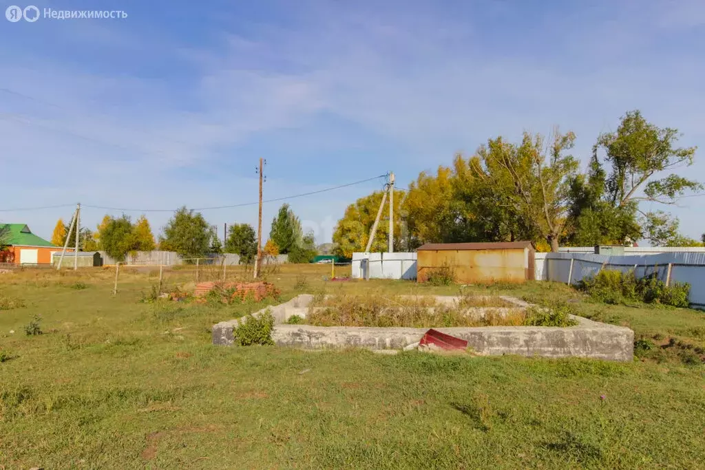 Участок в Омская область, Азовский немецкий район, село Сосновка (14 ... - Фото 0