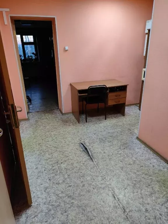 Помещение свободного назначения в Новосибирская область, Маслянино рп ... - Фото 2