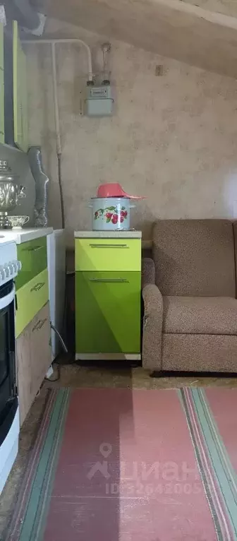 Дом в Омская область, Омск Новоалександровская ул. (60 м) - Фото 2