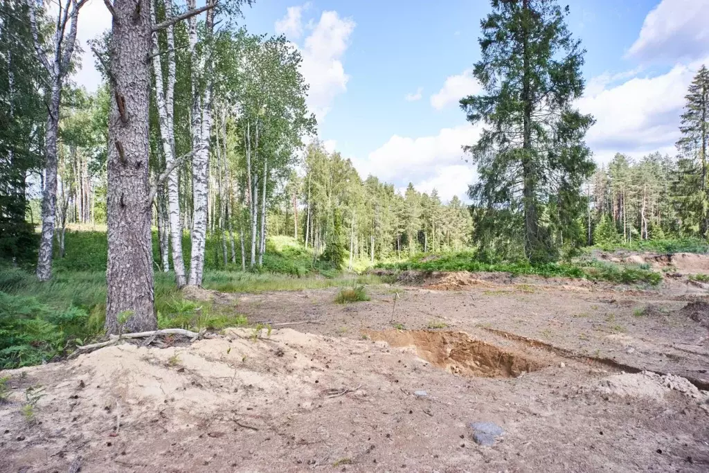 Участок в Ленинградская область, Всеволожский район, Куйвозовское ... - Фото 0