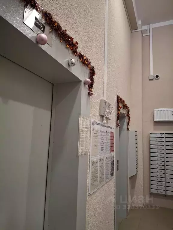 1-к кв. Ленинградская область, Всеволожск ш. Дорога Жизни, 7к2 (32.5 ... - Фото 2