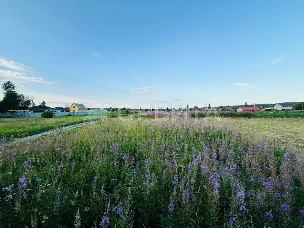 Участок в Тюменская область, Тюменский район, с. Мичурино  (15.0 сот.) - Фото 1