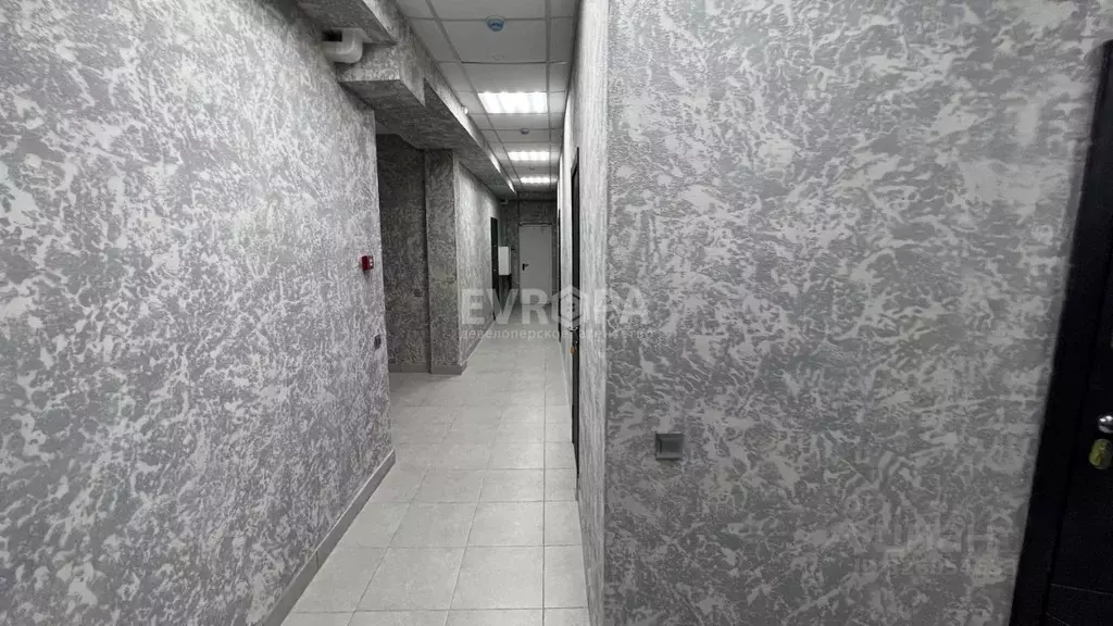 Офис в Ульяновская область, Ульяновск Камышинская ул., 19 (19 м) - Фото 1