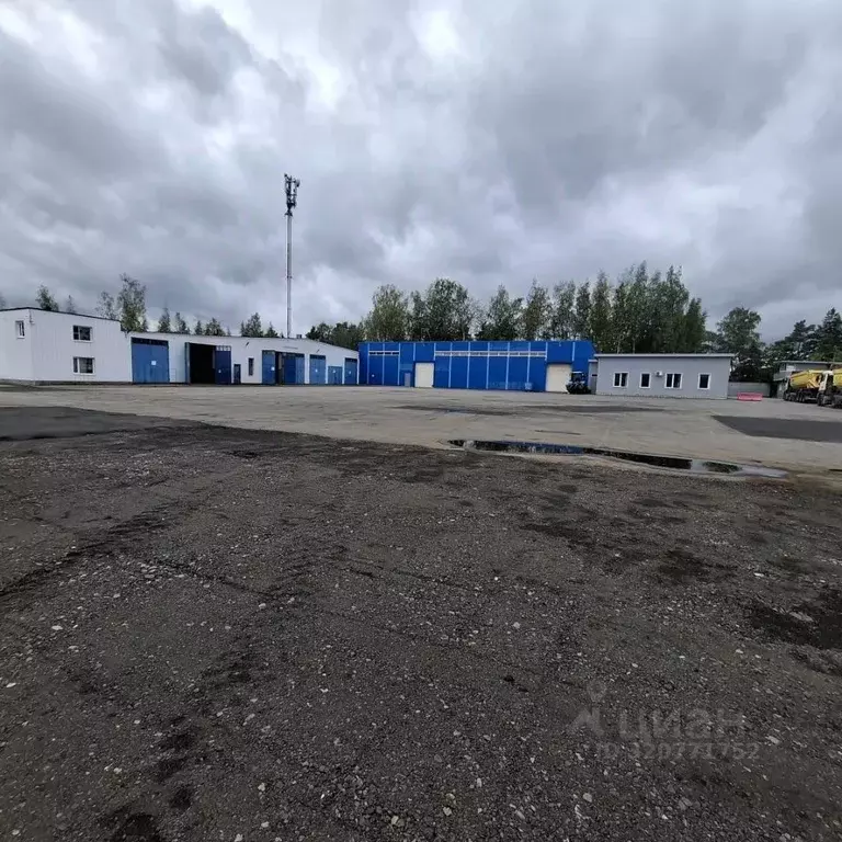 Помещение свободного назначения в Санкт-Петербург, Санкт-Петербург, ... - Фото 1