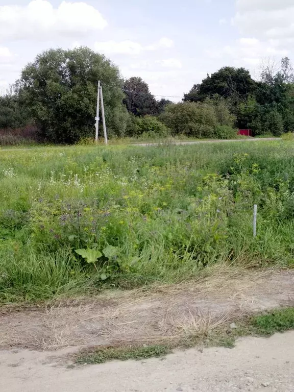 Участок в Калужская область, Тарусский район, д. Игнатовское ул. ... - Фото 2